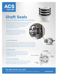 ACST4 Shaft Seals